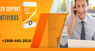 Support For Avast Antivirus 1800-445-2810 Helpline Number