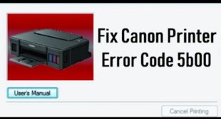 How to Resolve the Canon Printer Error Code 5b00? – Printer Support EN