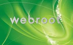 Webroot troubleshooting
