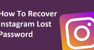 How To Reset The Instagram Password?