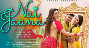 Nai Jaana Song Lyrics