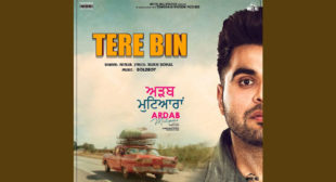 Tere Bin Song Lyrics