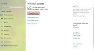 Check for updates button is missing in Windows 10