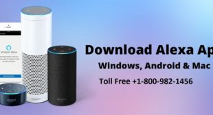 How can you Download Alexa App Windows 10 and get Alexa App Android Download