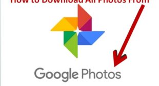 How to Download All Photos From Google Photos