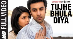 Tujhe Bhula Diya lyrics | Anjaana Anjaani | Mohit Chauhan | Lyricsplzz