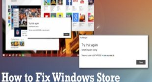 How to Fix Windows 10 Store Error 0x87AF000B on Windows 10