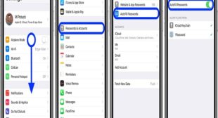 How to Access Accounts & Passwords on iPad and iPhone