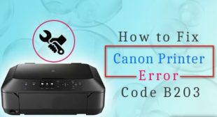 How to Fix Canon Printer Error B203?