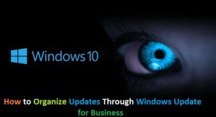 How to Organize Updates Through Windows Update for Business – Nation Directory