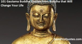 101 Gautama Buddha Quotes From Buddha that Will Change Your Life