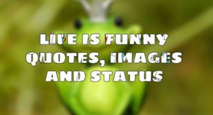 Life is Funny quotes