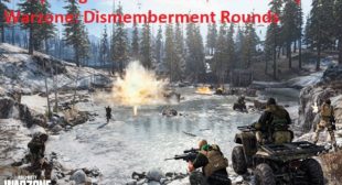 Everything to Know About Call of Duty: Warzone: Dismemberment Rounds