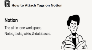 How to Attach Tags on Notion – www.office.com/setup