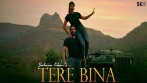 TERE BINA LYRICS By Salman Khan