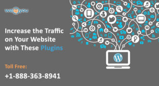 wordpress traffic plugin