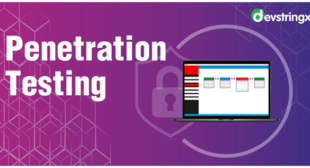 What is Penetration Testing and Its Types | Devstringx Technologies