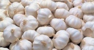 Purchase Three Varieties of Garlic from Reputed Suppliers