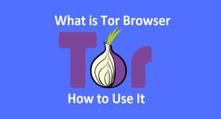 What is Tor Browser and How to Use It