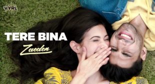 Tere Bina Song Lyrics in Hindi | Zaeden & Amyra Dastur