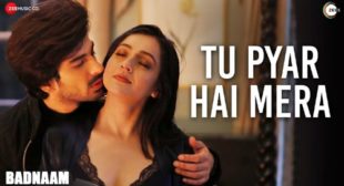 Tu Pyar Hai Mera Song Lyrics