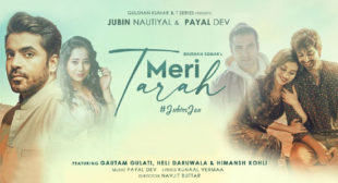 Meri Tarah Lyrics