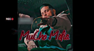 Lyrics of Mucho Mafia Song