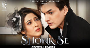 Shonk Se Lyrics by Afsana Khan