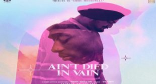 AIN’T DIED IN VAIN LYRICS – Prem Dhillon