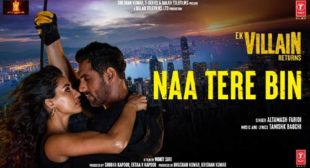 Lyrics of Naa Tere Bin Song