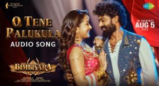 Lyrics of O Tene Palukula Song