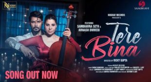 Sambhavna Seth – Tere Bina Lyrics