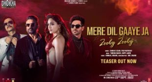 Lyrics of Mere Dil Gaaye Ja Zooby Zooby Song