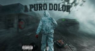 A Puro Dolor (English Translation) Lyrics and Video